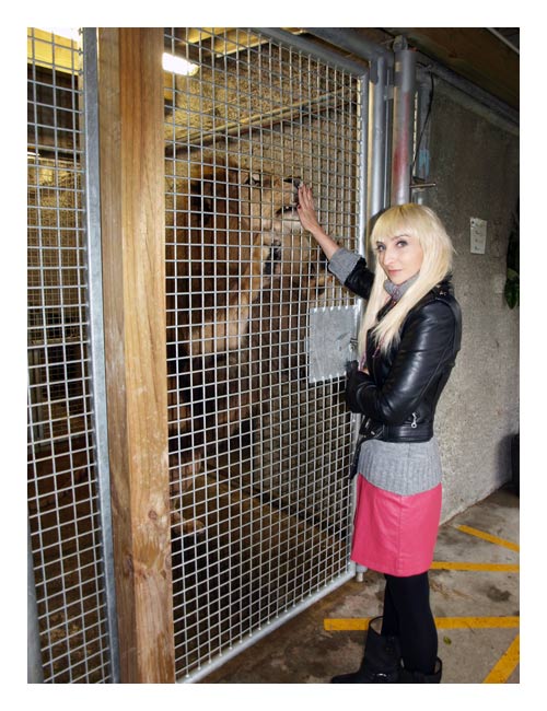 Animal Encounters at Wellington Zoo!