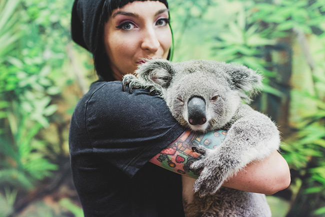 Wildlife Encounters At Dreamworld... And A Very Kidnappable Koala